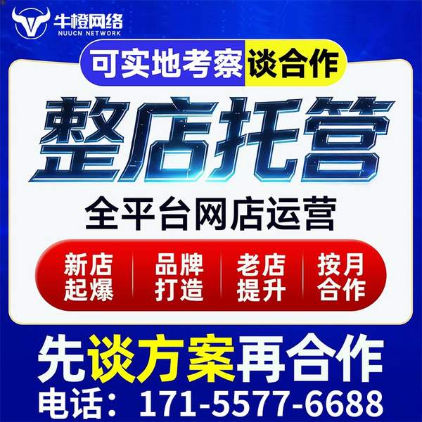灯塔电商代运营