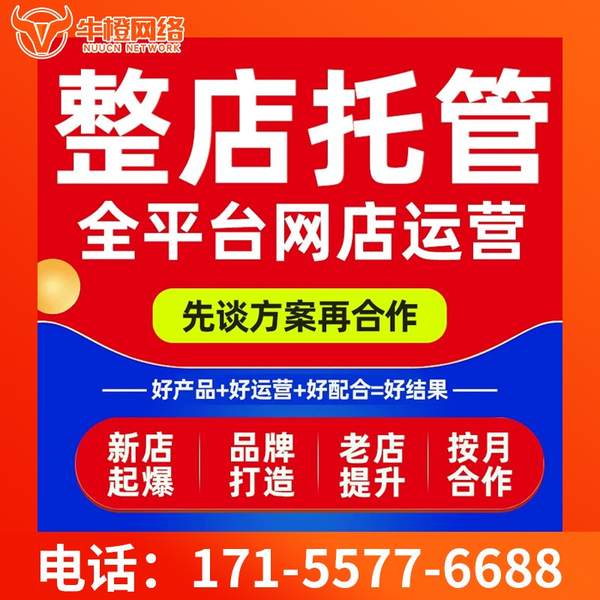 灯塔电商代运营
