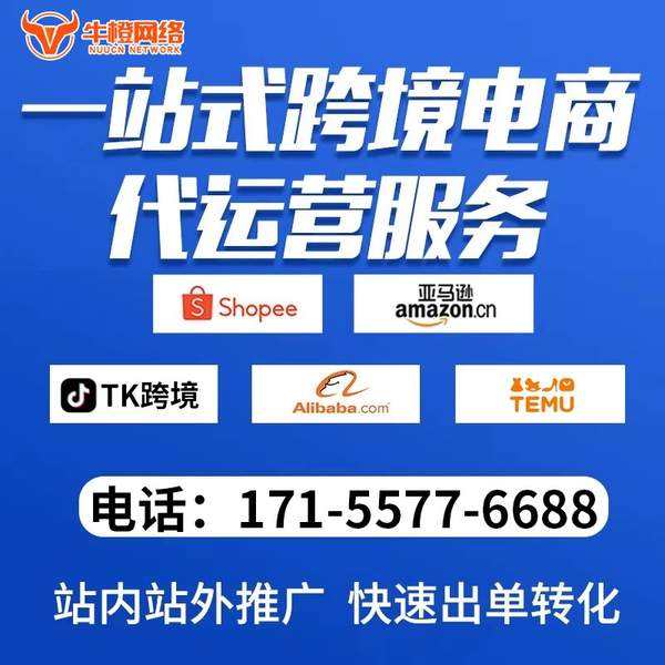 灯塔电商代运营